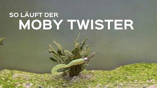 Der Twister von Moby Softbaits - zum Angeln auf Barsch Zander Hecht Forelle & Co.