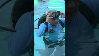 PANGKOSTRAD TERIMA BRIEVET PASUKAN KATAK  #shorts #shortvideo #tni #tniad #tnial #kostrad #kopaska