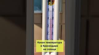 #Shorts Реальная температура в Краснодаре летом #краснодар #лето