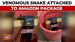Bengaluru Couple Finds Cobra In Amazon Package Company Responds  India Today News