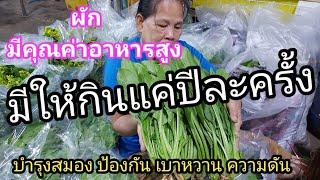 ผักปวยเล้ง ผักสด สรรพคุณสูง ผักไทยมีให้กินปีละครั้ง ป้องกันหลายโรค สาระดีๆ