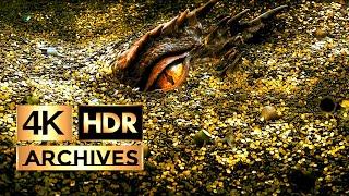 The Hobbit - The Desolation of Smaug ● Part 1 of 3 ● The Hobbit And The Dragon  HDR - 4K - 5.1 