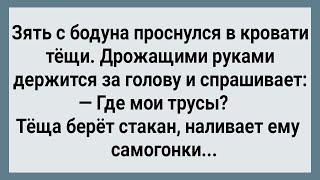 Как Зять После Пьянки с Тещей Проснулся Сборник Свежих Анекдотов Юмор