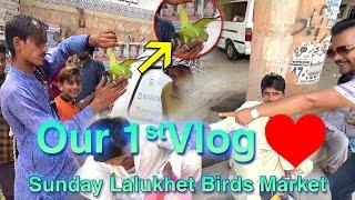 OUR FIRST VLOG in SUNDAY LALUKHET BIRDS MARKET  @ParadiseBirdsInformation1