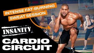 Free INSANITY Cardio Circuit Workout  Official INSANITY Sample Workout