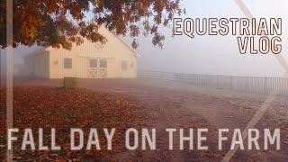 Fall Day on the Farm • Morning Barn Chores Clipping Horses & Hanging out w my TB  EQUESTRIAN VLOG