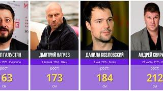 ‍️ Рост знаменитых российских актеров в 2024 году  Самые высокие и самые низкие актеры