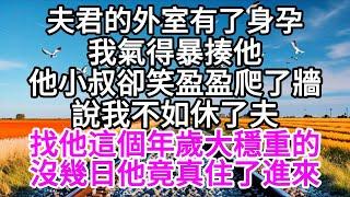 夫君的外室有了身孕，我氣得暴揍他，他小叔卻笑盈盈爬了牆，說我不如休了夫，找他這個年歲大穩重的，沒幾日，他竟真住了進來 【美好人生】