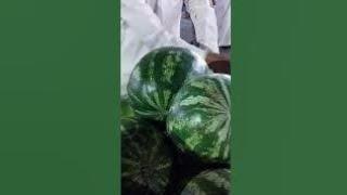 CARA BELI BUAH SEMANGKA DI ARAB SAUDI #MAKKAH #MASINAH #shortsvideo