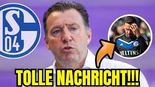 S04 EXKLUSIV PORTAL HAT GERADE BESTÄTIGT  aktuelle nachrichten des schalke 04 aktuell News