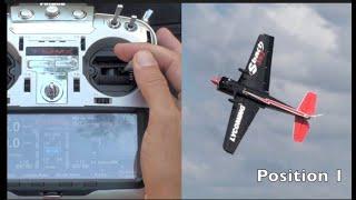 Michael Wargo How To 3D  Rolling Harrier Instruction Part 1