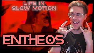 Entheos - Life in Slow Motion music reaction and review