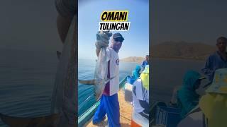 Tulingan sa Oman #tuna #reels #shortvideo #jigging