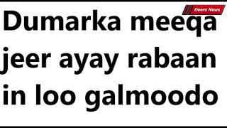 Suaal Dumarka meeqa jeer ayay rabaan in loo galmoodo