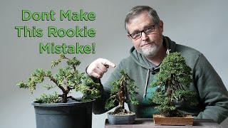 Bonsaify  The One Mistake All Bonsai Beginners Make Heres How to Avoid It