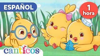 Canticos  Canta Juega y Aprende  Canciones para niños en español  Pio Pio