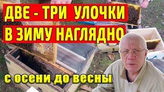 Зимовка отводков на трёх рамках Отводки в зиму Просто и наглядно