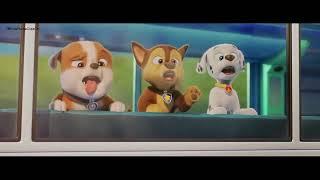 Paw Patrol The Movie Funny Scene