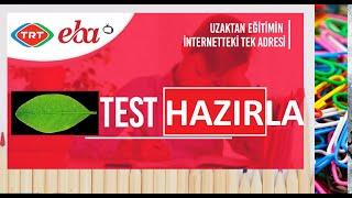 EBA İÇİN YAPRAK TEST OLUŞTURMA