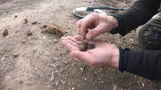 Magic of the GPX 4500 - Metal Detecting Avoca.  Before Winter Sets In Episode 133