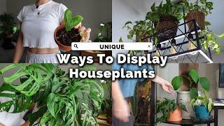 Upgrade Your Home with THESE Indoor Plant Display Tricks