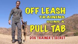 OFF LEASH Training Using a Pull Tab - Robert Cabral Dog Training Video