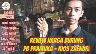 Review harga burung pasar pramuka kios Zaenuri