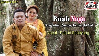 LAGU GENDANG SALIH TERBARU 2022 BUAH NAGA  VOC. RABUN SEBAYANG  CIPT. GANTANG HERMANTA PA. SPD