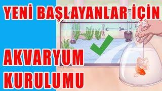 YENİ BAŞLAYANLAR İÇİN AKVARYUM KURULUMU 2022 - akvaryum Malzeme Listesi