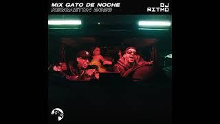 Mix GATO DE NOCHE Reggaeton Previa Verano 2023  DJ RITMO