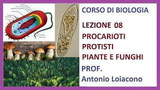 CORSO DI BIOLOGIA - Lezione 08 - Procarioti Protisti Piante e Funghi