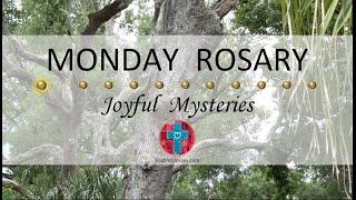 Monday Rosary • Joyful Mysteries of the Rosary  July 15 2024 VIRTUAL ROSARY - MEDITATION