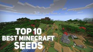 Top 10 Best Minecraft Seeds 1.16.5