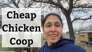 Cheap Chicken Coop