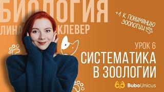 Систематика в зоологии  БИОЛОГИЯ ЕГЭ  Лина Клевер