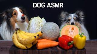 ASMR Dog Reviewing Fruits & Veggies