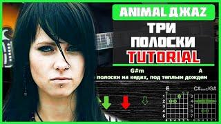 Как играть Animal Джаz - Три полоски на гитаре  Разбор песни