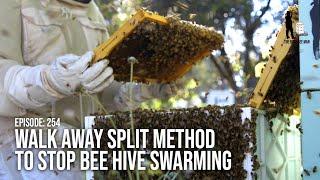 Splitting Beehives using the Walk Away Split Method to Stop Bee Hive Swarming   The Bush Bee Man