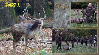 Fallow deer hunting in Slovakia - Velaty 2021.- Part 1 - Jagd auf Damwild in der Slowakei