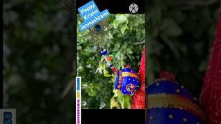 Happy Janmashtami Everyone Makhan Matki Decoration Pot Painting Janmashtami decoration #shorts