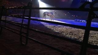 Pat Parelli & Super Horse Magic Final Performance