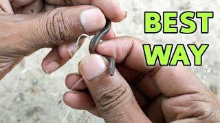 best way to hook a worm for fishing  worm bait hooking trick