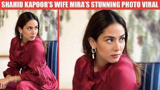 Mira Rajput Shares New Picture Of Herself They Go Viral