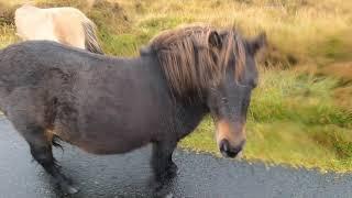 Outer Hebrides - South Uist