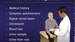 Understanding Benign Prostatic Hyperplasia BPH