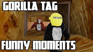 GORILLA TAG FUNNY MOMENTS - crateshide and seek edition.