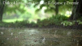 Lluvia Suave y Relajante • Alivia el Estrés y la Ansiedad para Dormir Profundamente • 6 Horas