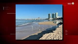 La playa Oasis en Puerto Vallarta no es apta para uso recreativo este verano alerta la Cofepris