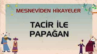 Tacir ile Papağan - Mesneviden Hikayeler - Çizgi Film #çizgifilm #mesnevi