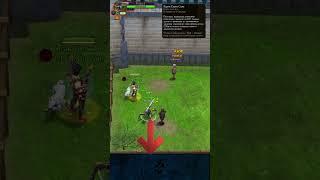 Royal Quest  Обзор Карты Слуги Соло #shorts #mmorpg #royalquest